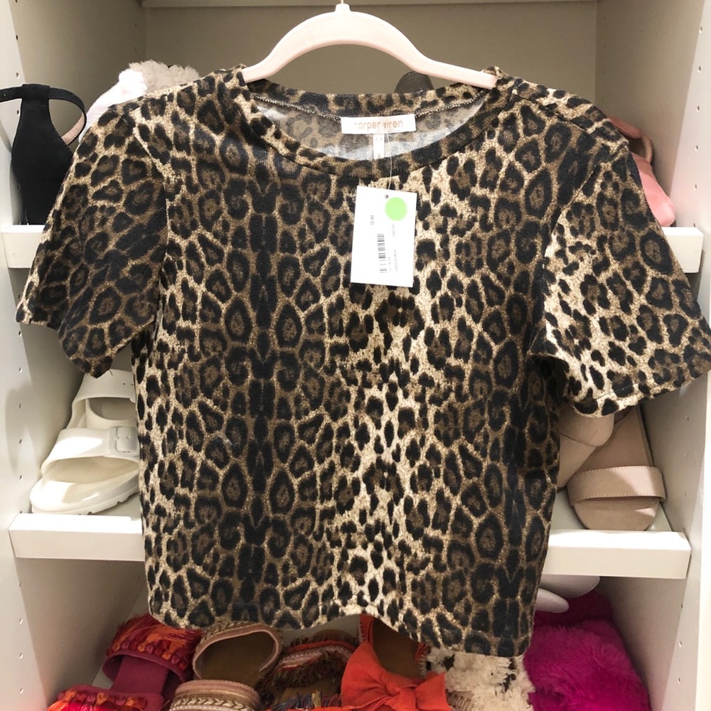 Harper wren  Hillary top